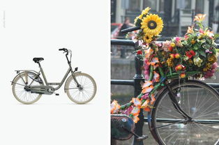 自行车 荷兰鹿特丹Remko Verhaagen工业产品设计师作品